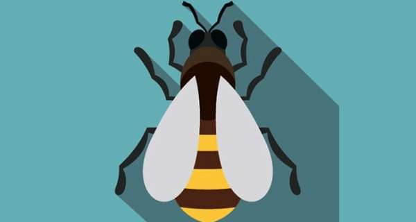 Звуки пчелы и осы