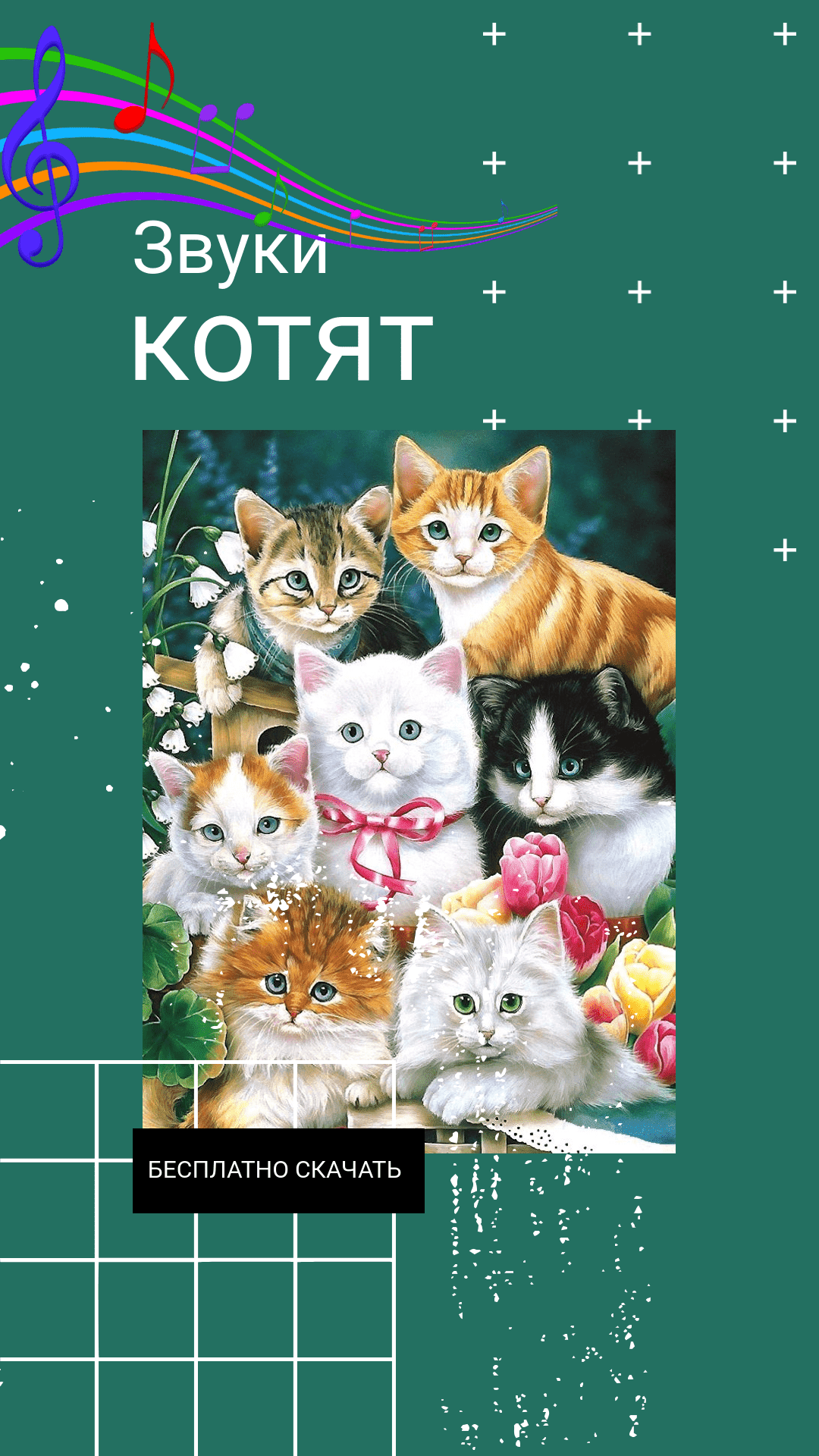 Звук котят слушать. Звуки котят. Звуки Котенков. Звук Зова котят. Котенок британский звуки.